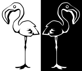 Obraz premium Flamingo Black White Drawing