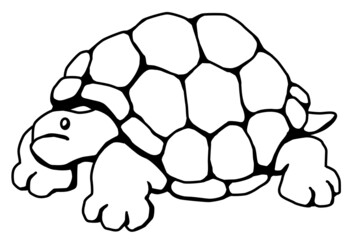 Tortoise Giant Stencil