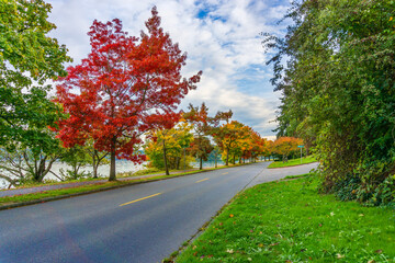 Scenic Fall Shoreline Landscape 5