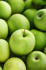 Ripe and juicy Green apples with dew drops.
