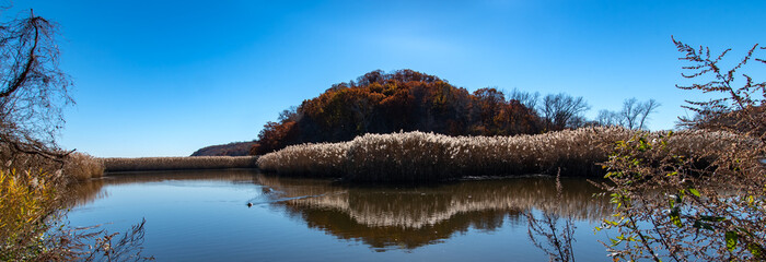 Marsh land on river canal with mountains in the Fall