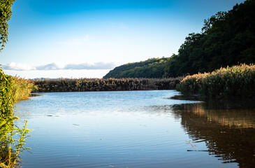 A marshy area on river canals with mountain backdrop 