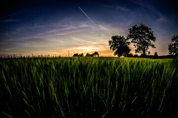 Abendd&auml;mmerung in Lienzingen