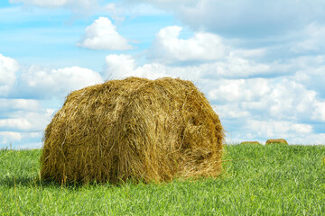 Haystack in a field