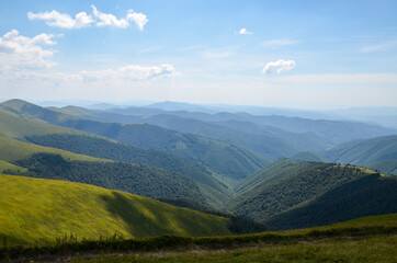 Mountain slopes covered with dense green forest and blueberry fields in the sunlight. Ukrainian Carpathians in summer