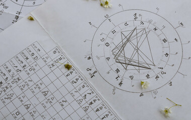 Printed astrology charts with small fragile white flowers