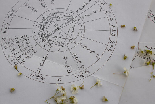 Printed astrology charts with small fragile white flowers in the foreground