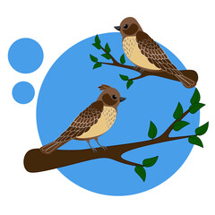 Larks sit on twigs on a blue background