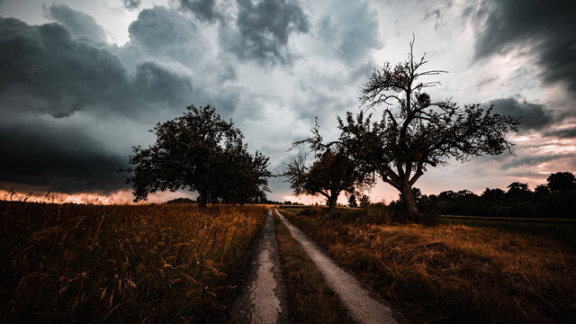 zwischen Lienzingen und Knittlingen