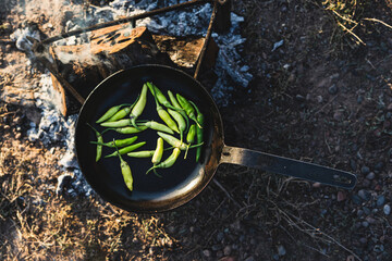 Hot green peppers in a pan. Cooking vegetables on an open fire. Food on a camping trip.