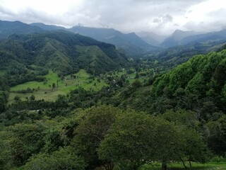 paysages sud-américains 
