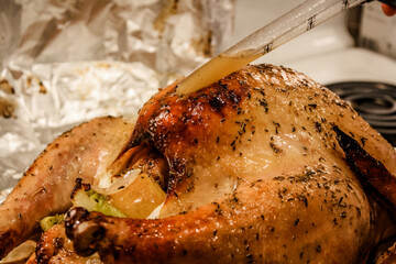 Thanksgiving Turkey dinner getting basted  