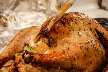Thanksgiving Turkey dinner getting basted  