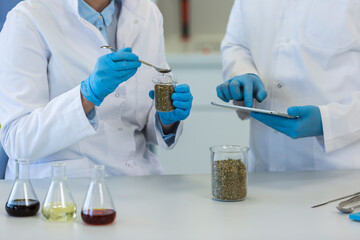 Hands working with marijuana seeds and laboratory spoon