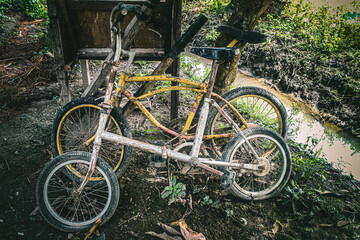 Fototapeta na wymiar old bicycles in the garden