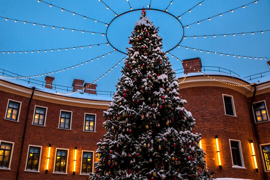 Christmas Tree And Festive Illumination