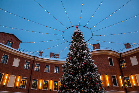 Christmas Tree And Festive Illumination