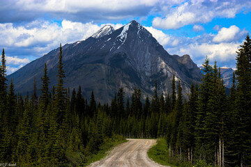 Fototapeta premium national park