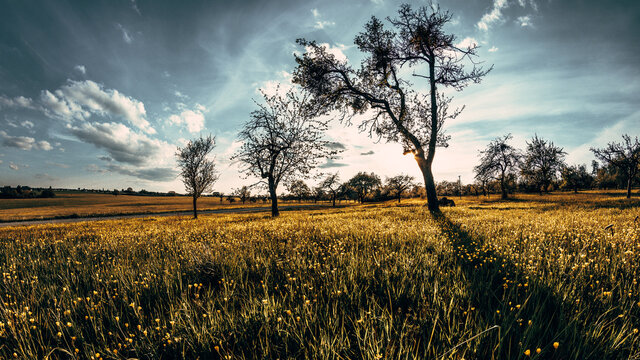 zwischen Lienzingen und Maulbronn