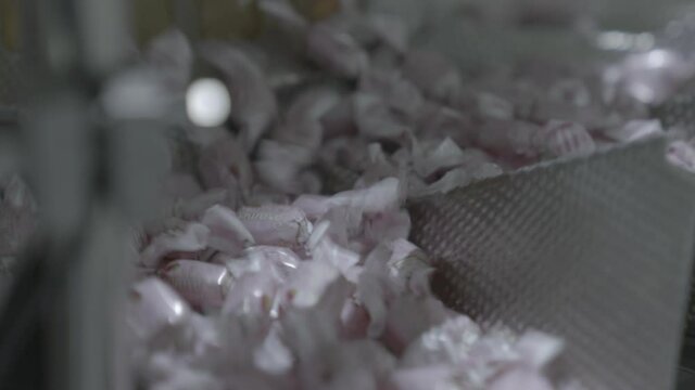 Biscuit and Confectionery Production Factory