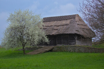 Fototapeta na wymiar Kyiv Ukraine - Traditional ukrainian old house with straw roof. National architecture. Warm spring sunny day.