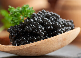 fresh grainy black paddlefish caviar in brown wooden spoon on a black background, close up