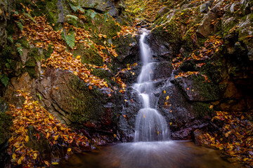 Obraz premium waterfall in autumn forest