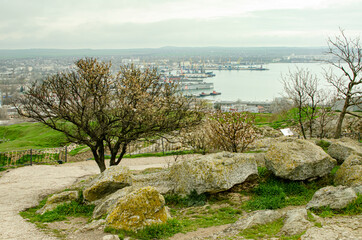 a tree and large boulders on top of a high hill