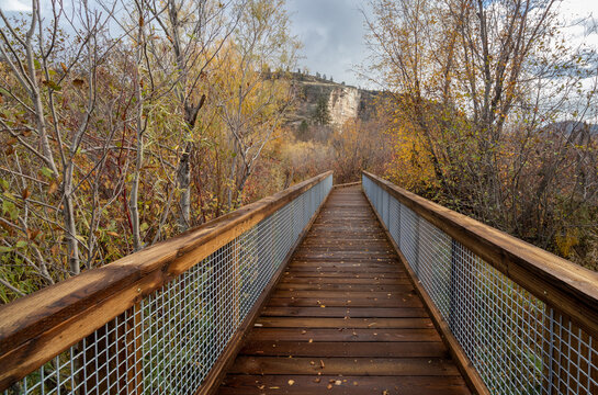 Boardwalk At Vaseux Lake Bird Observatory