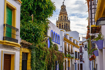 Tower of the cathedral rising between the colorful houses of the city. Cordoba, Spain.