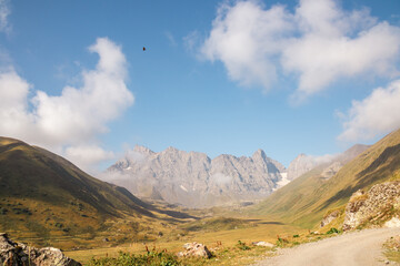 A hawk flying with panoramic view on the sharp mountain peaks of the Chaukhi Massif in the Greater Caucasus Mountain Range in Georgia, Kazbegi Region. Freedom, Wilderness. Georgian Dolomites.