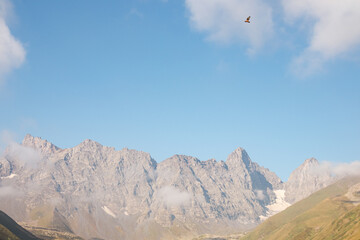 A hawk flying with panoramic view on the sharp mountain peaks of the Chaukhi Massif in the Greater...