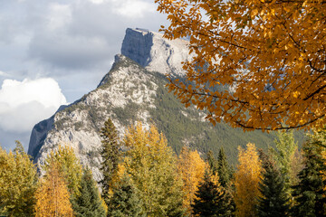 Mt Rundle through the trees in Banff National Park