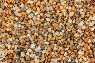 Sea sand (Ghajn Tuffieha beach, Malta) with reddish orange particles few ocean shell remains visible. Microscope photo, image width 9mm