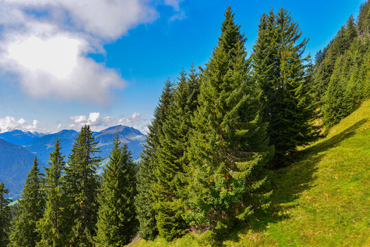 Bregenzerwaldgebirge in Schoppernau-Au / Vorarlberg