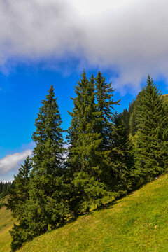 Bregenzerwaldgebirge in Schoppernau-Au / Vorarlberg