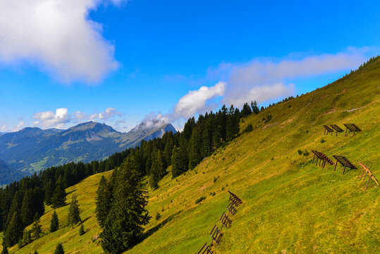 Bregenzerwaldgebirge in Schoppernau-Au / Vorarlberg