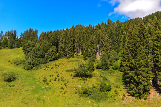 Bregenzerwaldgebirge in Schoppernau-Au / Vorarlberg