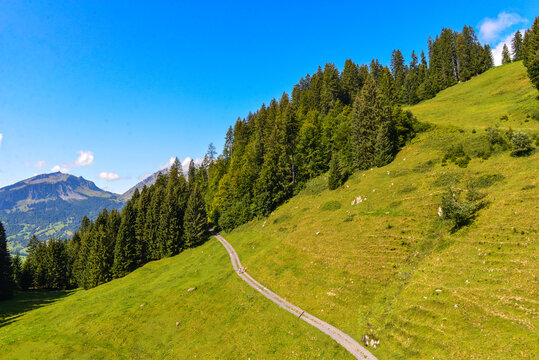 Bregenzerwaldgebirge in Schoppernau-Au / Vorarlberg