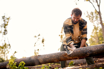 logger worker cuts tree in forest using Ax, powerful lumberjack in casual shirt, lumberman engaged...