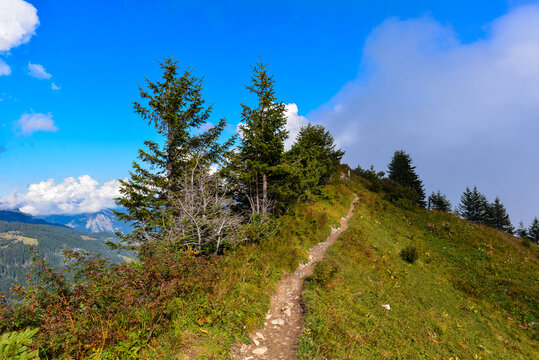 Stafelalpe/Dam&uuml;lser Berge im Bregenzerwaldgebirge in Vorarlberg