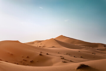 Sand dunes with blue hazy sky in the Sahara desert wth small bushes suring hot day in Marocco