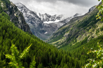 Obraz premium Verso il gran Paradiso