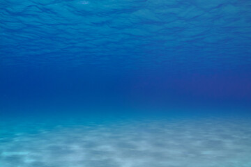 A nice open underwater scene showing infinite blue water sandwiched between a sandy bottom and the...