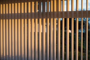 Vertical blinds hanging in front of a window. They are a white colour but they are reflecting a golden glow  from a sunset.