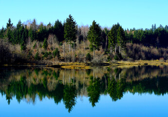 Landscape view to the forest near the lake and reflection in the water