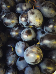 Dark grapes in the shop