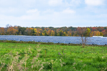 Fototapeta na wymiar Rows of solar panels in a field with autumn trees in background on a cloudy day