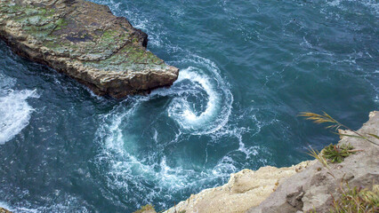 Tide pool