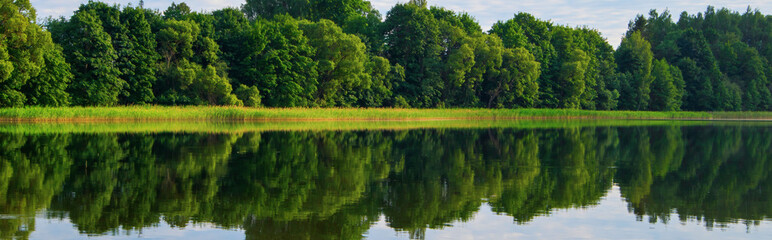 Fototapeta na wymiar Panoramic view of the lake in summer. Reflection of green trees and clouds in the water